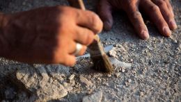 Straordinaria scoperta a Pompeiopolis: affiorano un mosaico monumentale e una testa di Eros