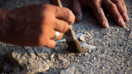 Straordinaria scoperta a Pompeiopolis: affiorano un mosaico monumentale e una testa di Eros