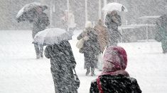 inverno-gelido-1