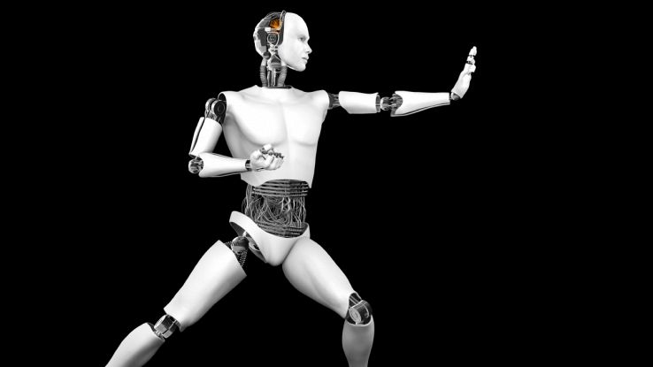 Robot umanoide in posa kung fu