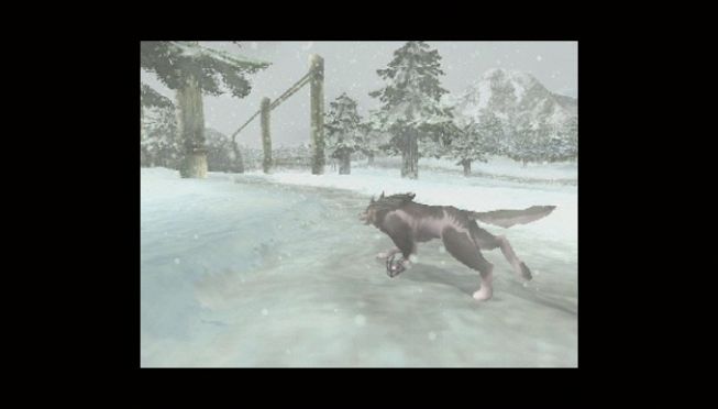 Twilight Princess