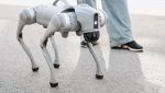 Cani robotici