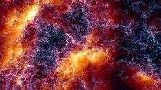 Immagine dell'Universo "da piccolo" della simulazione Lumina