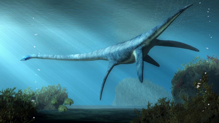 plesiosauri