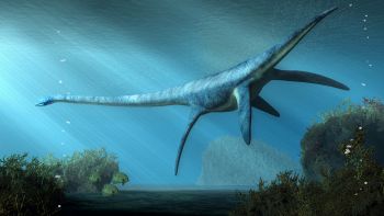 plesiosauri
