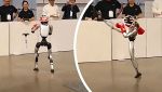 Video robot