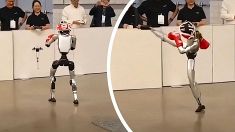 Video robot
