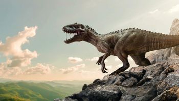tirannosauro