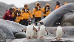Volontari monitorano i pinguini in Antartide
