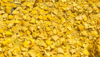 Giallo, il significato psicologico del colore