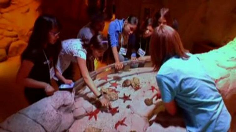 Sea Life - Acquario di Roma - Video Preview