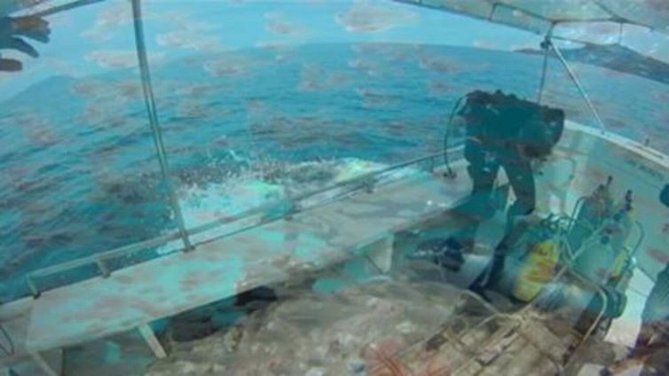 The world, la nave più lussuosa del mondo