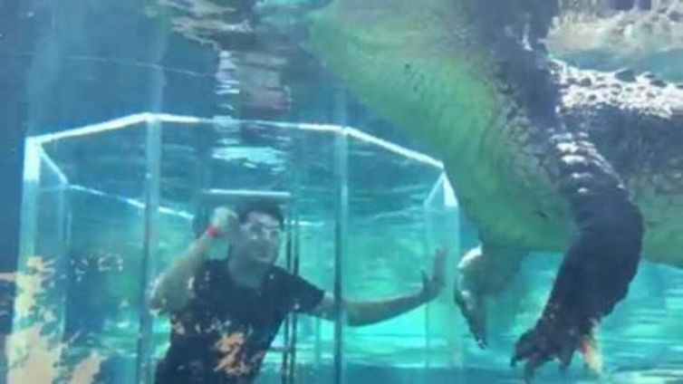 Un tuffo con i coccodrilli