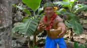 In Polinesia la noce di cocco si apre con i denti