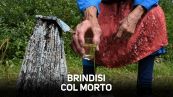 Il funerale alla russa? Balli e vodka (tanta vodka)