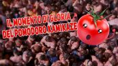 Tommy, il pomodoro che non l'ha 'passata' liscia