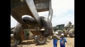 Gigantesco anaconda trovato in Brasile
