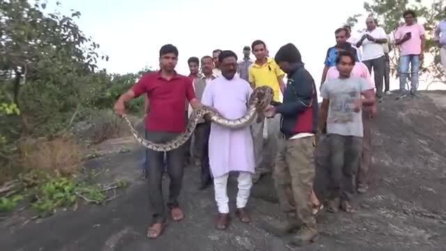 Selfie col pitone? Il serpente non è d'accordo