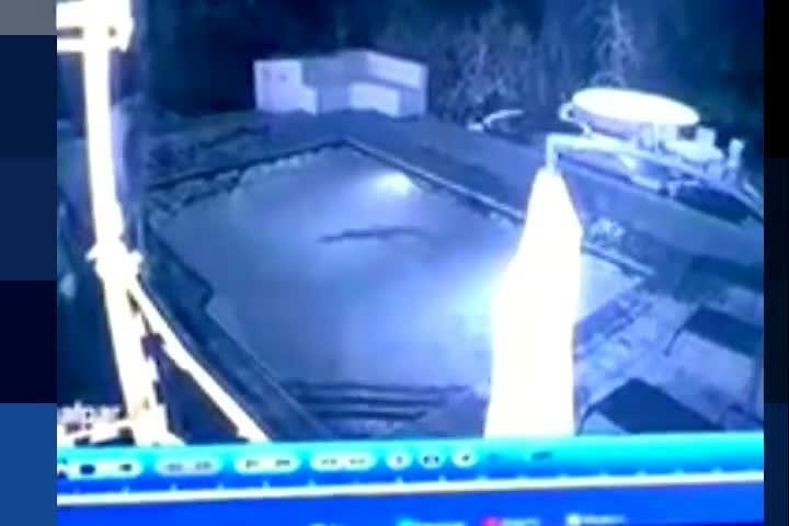 Paura in piscina: arriva il coccodrillo