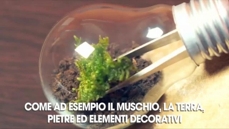 Come realizzare un terrario con le lampadine bruciate