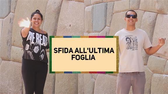 Foglie di coca, le abbiamo testate per voi
