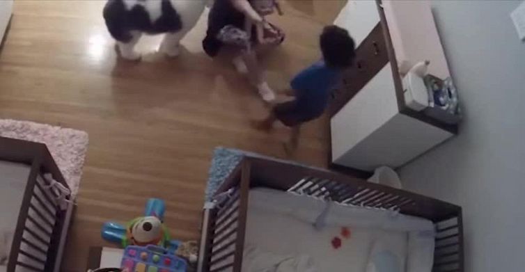Il bambino salva il fratellino al volo