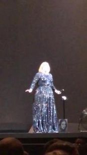 Un pipistrello terrorizza Adele durante il concerto: il video è virale