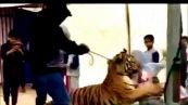 Tigre attacca bambina
