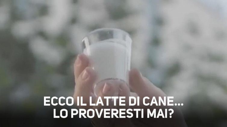 Candid camera, la gente prova il latte di cane