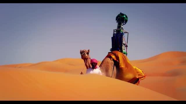 Google noleggia cammelli per portare Street View nel deserto