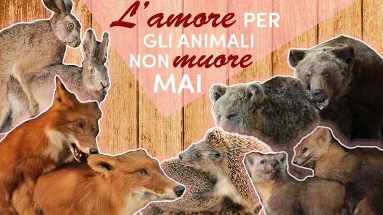 Dalla Russia con... amore? La tassidermia diventa sexy