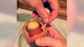 Apre un uovo e dentro trova... un altro uovo
