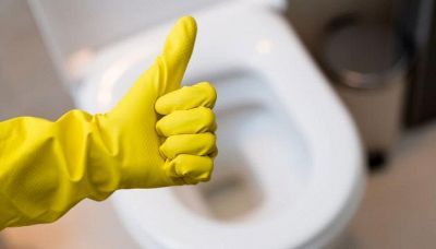 10 prodotti alternativi per pulire il WC
