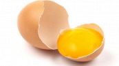 Il colore del tuorlo ci dice tutto sull'uovo che stiamo mangiando