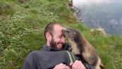 La marmotta 'coccola' l'escursionista e conquista il web