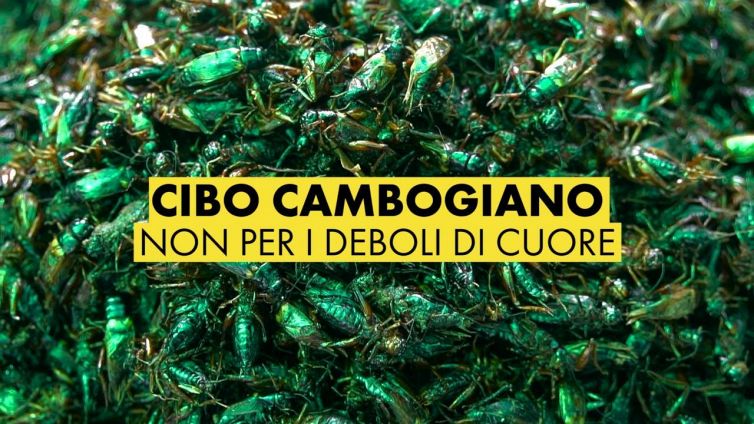 Il cibo più strano? Si trova in Cambogia