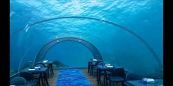 Alle Maldive apre il ristorante per cenare sott'acqua