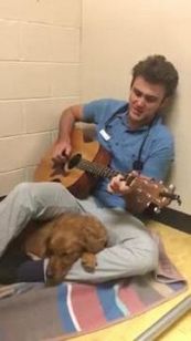 Il veterinario canta la serenata al cane prima dell'intervento
