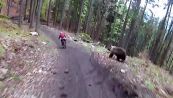 Paura tra i boschi: l'orso dà la caccia ai ciclisti