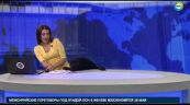 Il cane irrompe in tv durante la diretta del telegiornale #vitebestiali