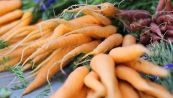 10 buone ragioni per mangiare più carote