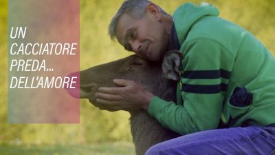 Uomo e cerbiatto: un'incredibile storia d'amore