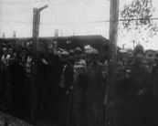 14 giugno: Si apre il cancello dell'orrore ad Auschwitz