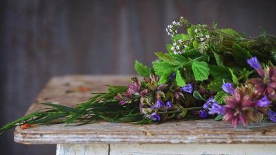 Curarsi con le erbe come i nativi americani