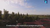 La Crimea come la savana, qui i leoni sono al sicuro