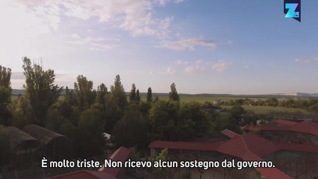 La Crimea come la savana, qui i leoni sono al sicuro
