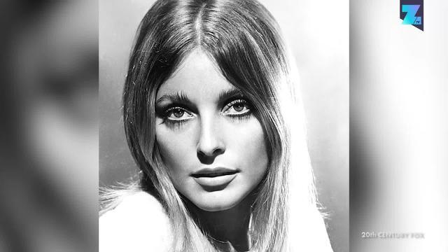 Tutte le indiscrezioni sul penultimo film di Tarantino