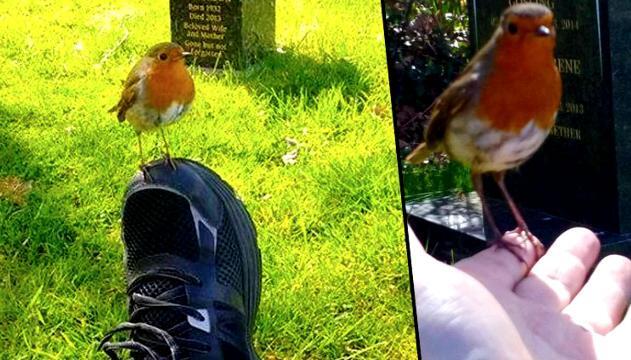 Visita la tomba del figlio, quello che succede la lascia senza parole