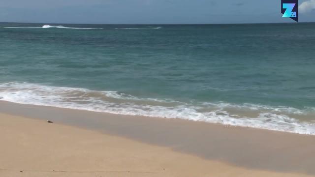 Dal finto camping alle offese a Bonucci...ma anche no!