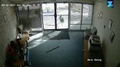 Basta una capra per vandalizzare un ufficio